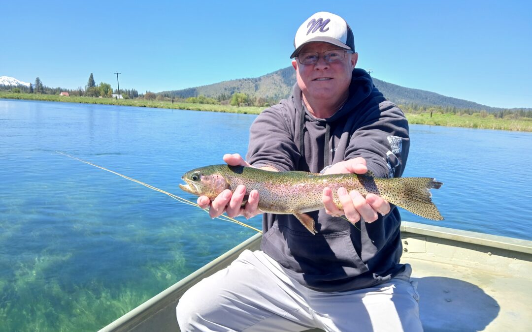 Your Questions Answered