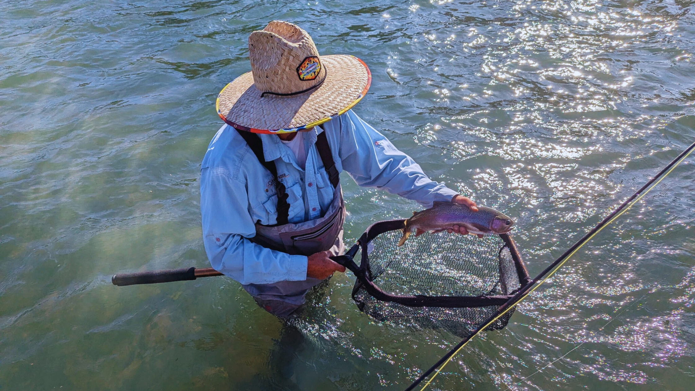 Fly fisherman standing in Northern California river holding a rainbow trout in a landing net under bright sunlight Northern California fly fishing rainbow trout catch Lower Sacramento River fishing fly fisherman with net wild trout California trout fishing summer 2025